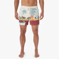 The Bungalow Trunk | Beach Sunset -Fair Harbor BGL5 981 Beach Sunset ONFIG 020