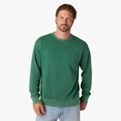 The Vintage-Wash Saltaire Crewneck | Coastal Green -Fair Harbor F22 SALTAIRECREWNECK COASTALGREEN ON FIG 0193 b2217181 372f 46bb 9c34 de295af1bb37