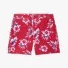 The Sextant Trunk | Red Hibiscus